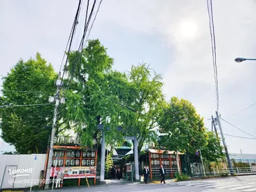 築地場外市場の守護神・波除神社の魅力と御朱印体験ガイド