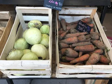 パリ最新情報「パリ市、2027年より学校給食を100％オーガニック ...