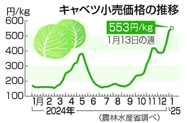 キャベツ高騰、1キロ553円 天候不順、食卓に打撃:時事ドットコム