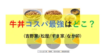 徹底比較】牛丼コスパ最強はどこ?吉野家/松屋/すき家/なか卯