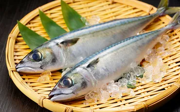 さばがダイエット向きな理由は?魚の中では高カロリーでも、うれしい効果がたくさん!