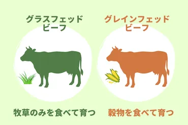 グラスフェッドビーフって一体どんな牛肉？栄養価や特徴を徹底解説！その違いとは！？