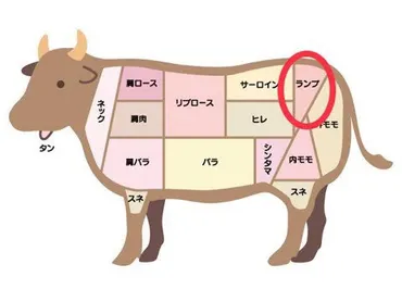 完全保存版】牛肉部位の特徴と値段を簡単解説！ – 低温熟成肉専門店 匠の肉