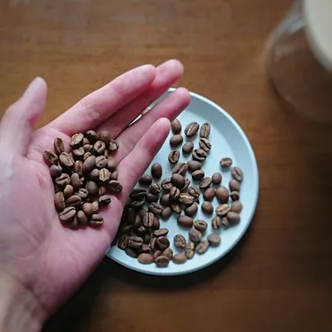 コーヒー豆が劣化する3つの原因