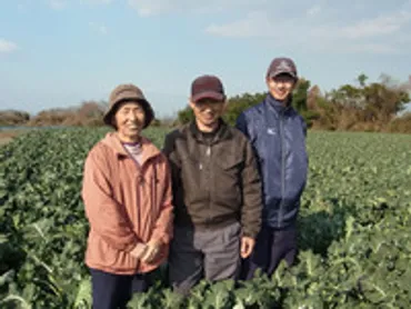 雲仙ブロッコリーの成功物語!? 島原半島の農業を支える「指定野菜」への道ブロッコリー栽培の進化とは!!?