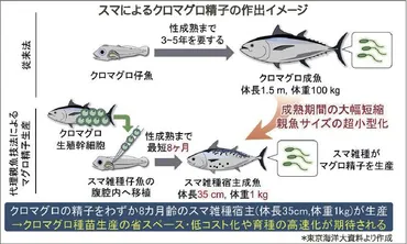 サメ肉のアンモニア臭一掃海洋大研究グループ発酵応用し新技術確立みなと新聞電子版