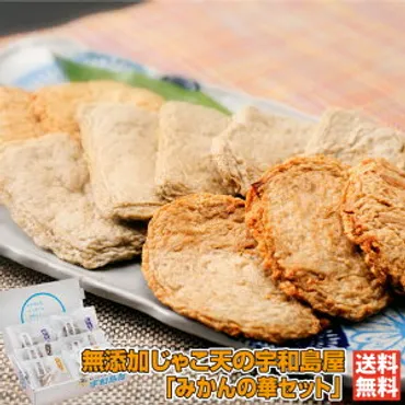 じゃこ天お中元の人気商品・通販・価格比較