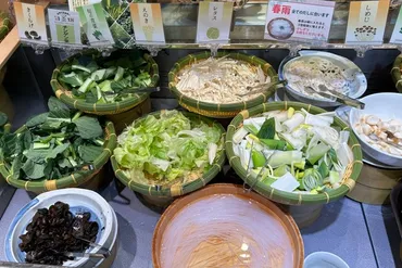 実録・しゃぶ葉食べ放題】肉とたっぷりの野菜、薬味とたれで味わい無限大!時間も無制限!?