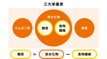 糖質制限ダイエットをするなら知っておくべき「糖質の日の摂取量」とは?