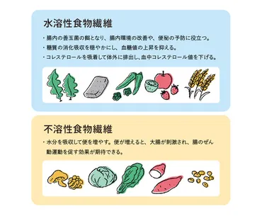 海藻が持つ栄養素を徹底紹介。゛海藻゛の力で、毎日おいしく健康を – SEA VEGETABLE COMPANY