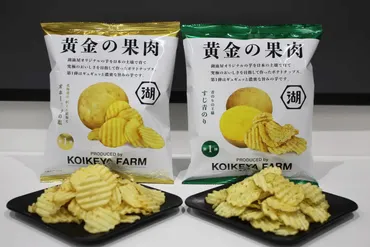 湖池屋が「日本のテロワールでつくる究極のポテトチップス」に挑戦する理由。「KOIKEYA FARM」プロジェクトを始動 ～湖池屋の歩みとプロジェクトのその先へ  編～