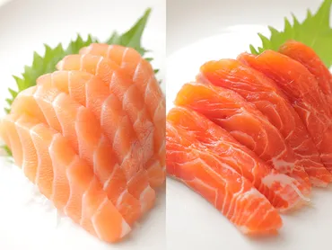 魚のプロが解説】意外と知らない!サーモン、鮭、トラウト、マスの違いとは?