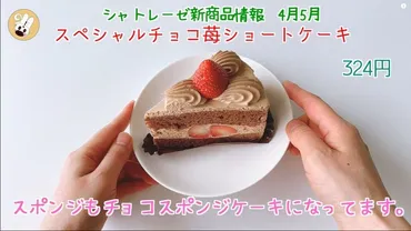 シャトレーゼのチョコケーキは種類豊富？おすすめ商品徹底解説！(チョコケーキ)シャトレーゼのチョコケーキ、ガトーショコラ、糖質カットケーキ