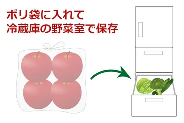 りんごの保存方法 長持ちさせる保存の仕方