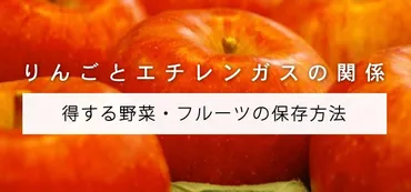 リンゴ好きはメモしよう。一緒に保存するとよい野菜・フルーツ みんなの野菜保存法 