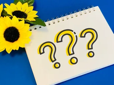 パエリアの素はどこで売ってる?カルディやドンキでも買える?
