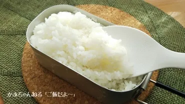 ダイソーのメスティン】水加減もバッチリ!簡単炊飯方法♪