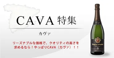 業務用ネットスーパー【ワイン】(カヴァ、カバ)特集