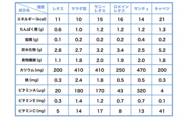 レタスに含まれる栄養素と食べる時のポイント4つを管理栄養士が解説 