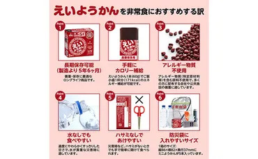 えいようかん非常食セット本本入×ミニようかんひとくち羊羹スティックスイーツ和菓子おやつお菓子備蓄保存食長期保存栄養補給防災災害対策登山行動食まとめ買い災害用防災グッズ防災用品