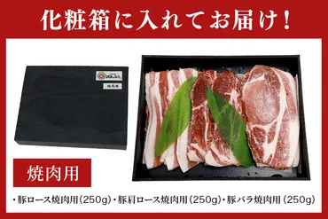 ブランド豚「ばんぶぅ」化粧箱入りギフト 焼肉用 750g 冷凍便 750グラム 豚肉 豚ロース 豚肩ロース 豚バラ肉 豚ばら肉 スライス うす切り  薄切り 焼き肉 ぶた肉 ブタ肉 国産 茨城県産 プレゼント 贈り物 贈答品 お祝い 42