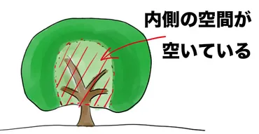 農家が教えるレモンの育て方 虫・鳥獣害に強い？ 実は簡単な家庭果樹