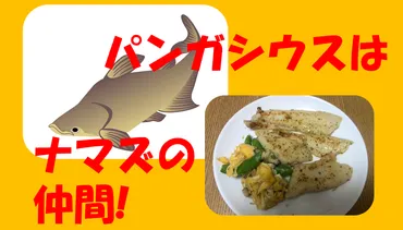 イオンのパンガシウスは妊娠中も子供も食べれる認証!手軽に調理した体験談!