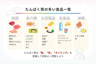 たんぱく質の多い食品一覧 朝・昼・晩の献立例と効率よく摂取するコツ