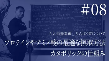 07 ダイエットやバルクアップとたんぱく質・アミノ酸の関係 