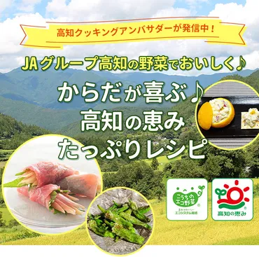 高知クッキングアンバサダープロジェクトって、どんな活動？レシピブログによる高知野菜の魅力発信