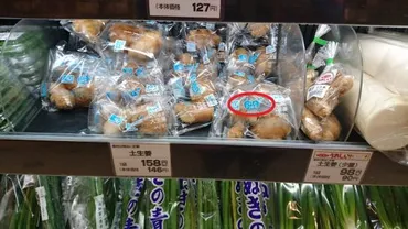 野菜でエコって?こうちエコ野菜とはなんだ