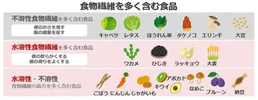 腸内細菌にもエサが必要？！ 大切な食物繊維