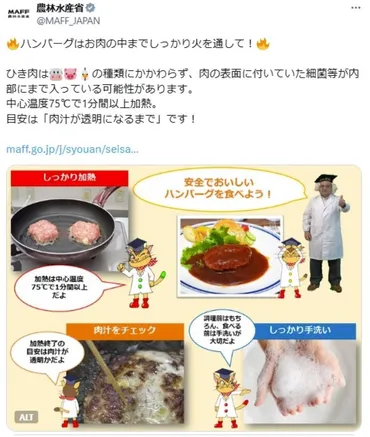 ひき肉」は゛細菌が内部゛に入っている食中毒を防ぐ゛目安゛を農水省が解説