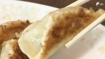 餃子の街「浜松」年連続日本一にぎょうざの年間購入額円で位は宮崎市、位は宇都宮市総務省家計調査【速報】