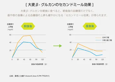 もち麦: 健康ブームの主役はコレ？β-グルカンが秘める驚きの力