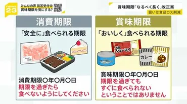 消費者庁「賞味期限延長」求めるガイドライン公表へ…背景に食品ロス削減賞味期限どのくらい気にする?街の声は―【】