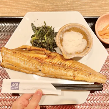 大戸屋に行ったらコレ食べて…！圧倒的なボリュームの「炭火焼き定食」魚が皿からはみ出ちゃってるよ！