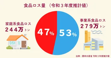 食品ロス問題、解決への道は？日本の現状と課題とは！？