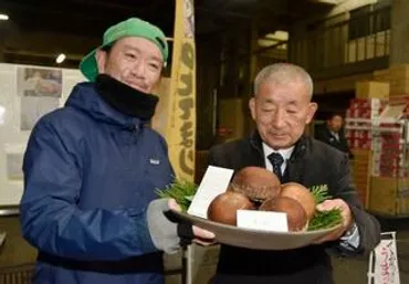 能登シイタケ、6個入り35万円初競り、過去最高額に歓声