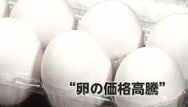 卵価格高騰はなぜ？年末年始の卵不足は？(疑問形で終わる)卵価格の現状と今後の動向とは!!?