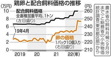 物価の優等生」卵に異変 1パック300円台の可能性…飼料・燃料高騰 鳥インフル流行の懸念も：東京新聞デジタル