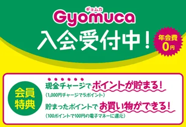 業務スーパーの電子マネー「」年経った今を検証