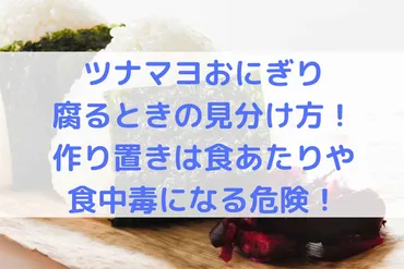 ツナマヨおにぎり腐るときの見分け方!作り置きは食あたりや食中毒になる危険!