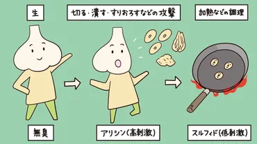 ニンニク料理の世界へ！～ニンニクの基礎知識から簡単レシピまで～ニンニク料理の魅力：焦がしニンニクチップ、オイル、相性の良い食材、レシピ