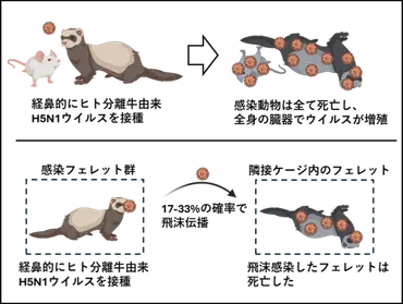 鳥インフルエンザが卵不足を引き起こしている！？深刻化する現状と対策世界で蔓延する脅威とは！？