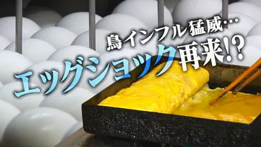 エッグショック゛再来？鳥インフル猛威で゛卵゛の価格高騰…卵焼き専門店からは悲鳴「今後は値上げも考えないと」