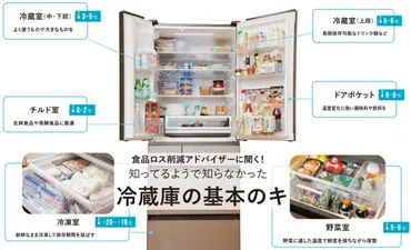 冷蔵庫の基本のキ】食品ロス削減アドバイザーに聞く！家事効率UP、家計の節約にもなる冷蔵庫の整理術 