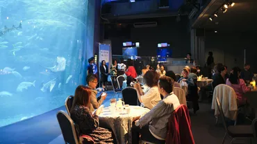 Bistroえのすい～水族館レストランで食と海を考える？～相模湾の恵みを堪能するサステイナブルな夜