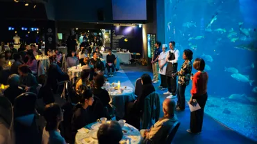 私が水族館でディナーイベントをしたかった理由】えのすいを終えて—シェフと共に学ぶ、考える、伝える豊かな海と食文化の守りかた