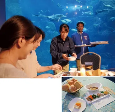 夜の水族館で地魚を堪能えのすい和やかに〈藤沢市〉タウンニュース
